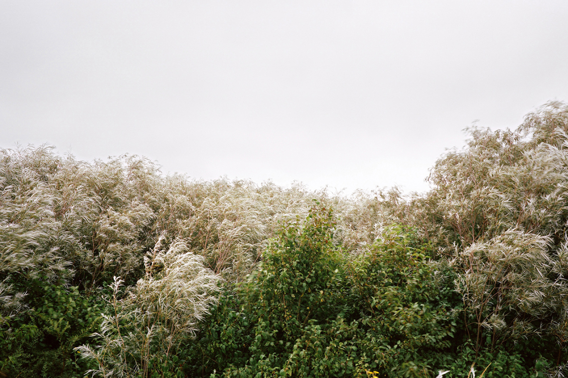 Borders #8