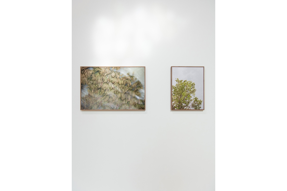 Chambre 207 018