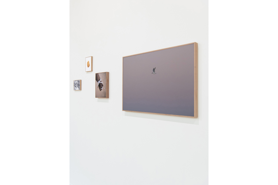 Chambre 207 024
