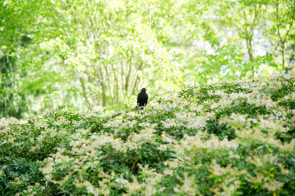 Campagne_photo_05