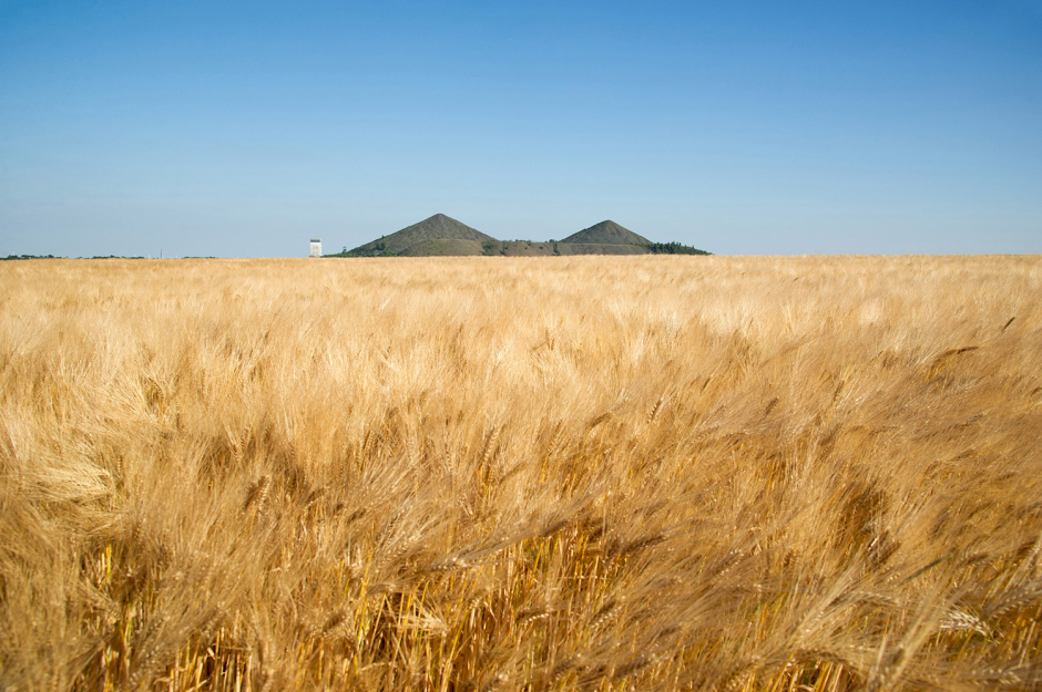 Campagne_photo_08